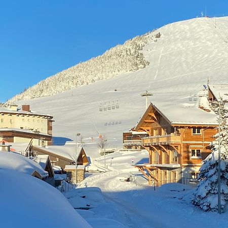 Homency - Chalet Jepima II Альп-д'Юэз Экстерьер фото